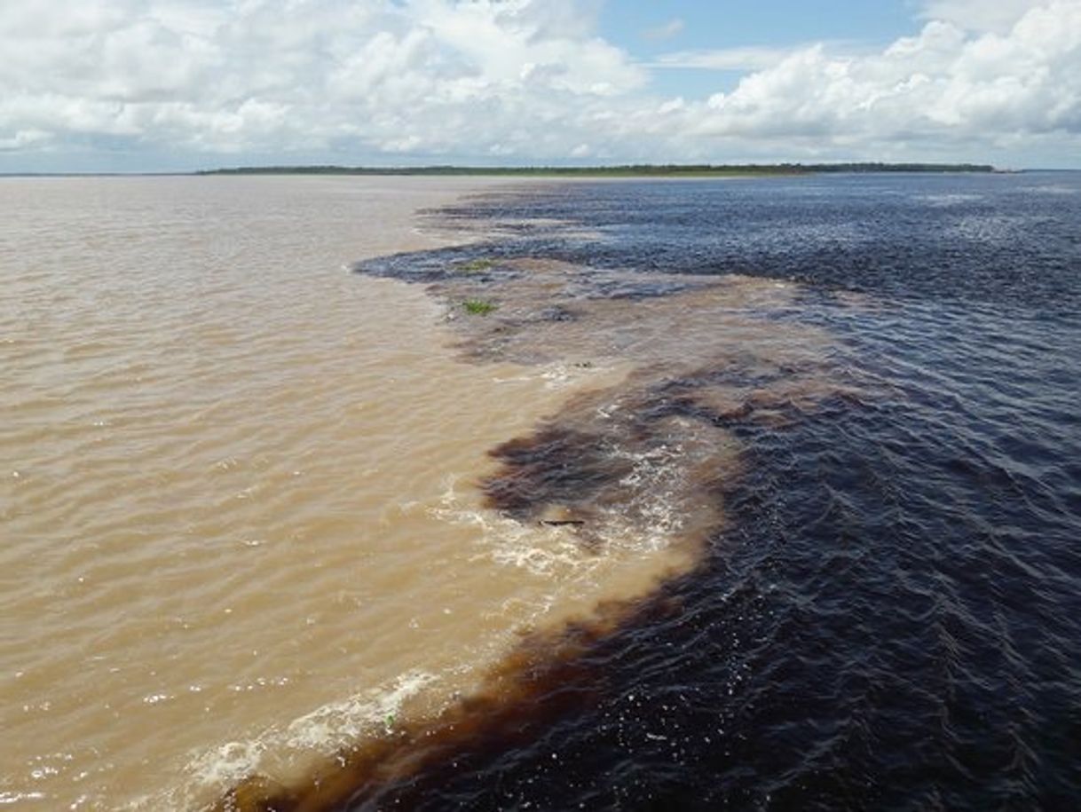 Lugar Encontro das Águas - Manaus (AM)