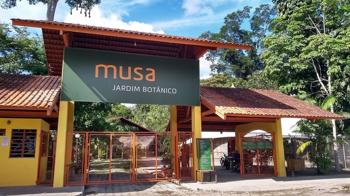 Lugar MUSA - Museu da Amazônia 