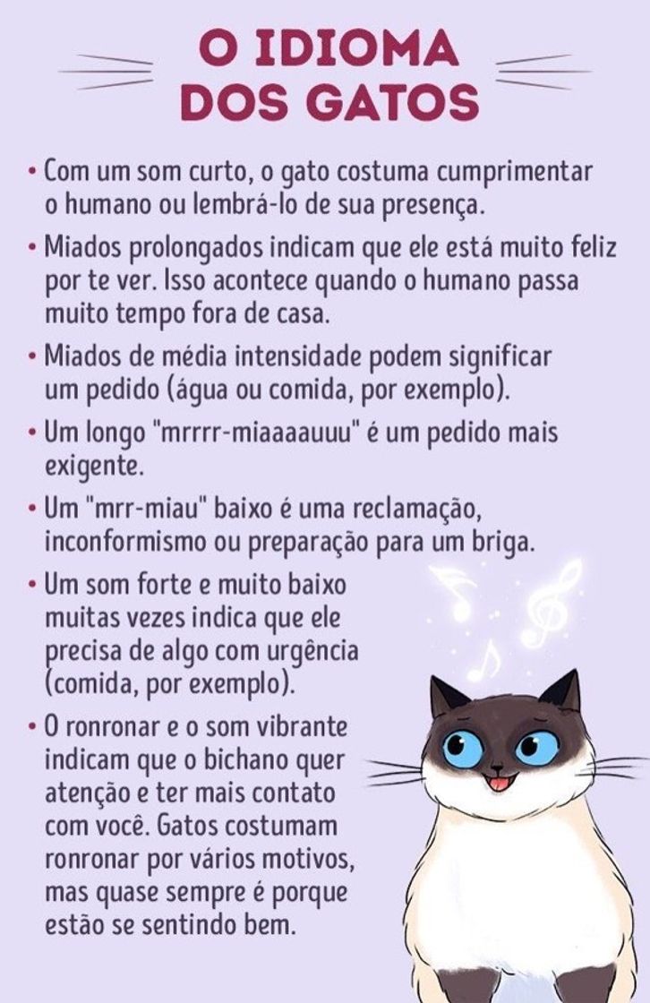 Moda Idioma dos gatos