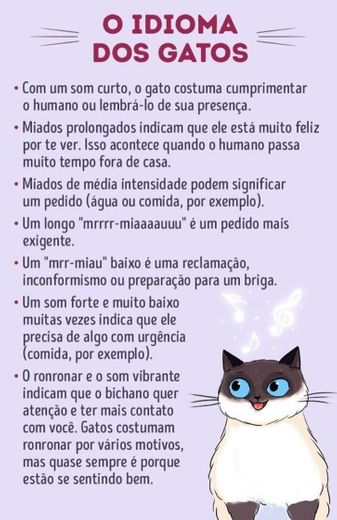 Idioma dos gatos