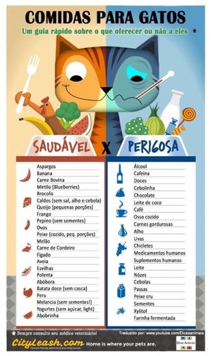 Alimentação gatos