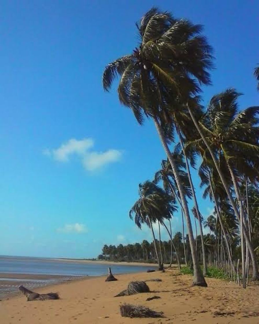 Lugar Praia São Bento