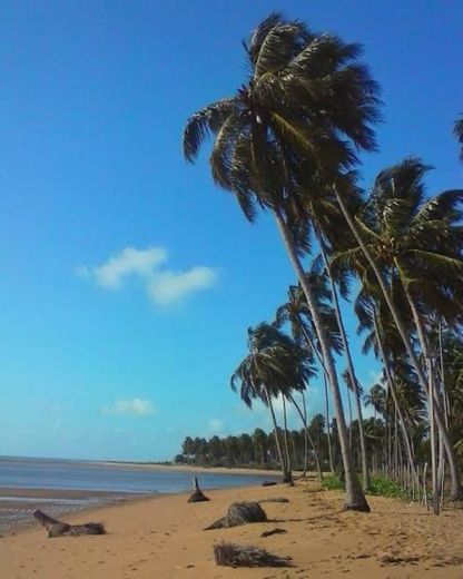 Praia São Bento