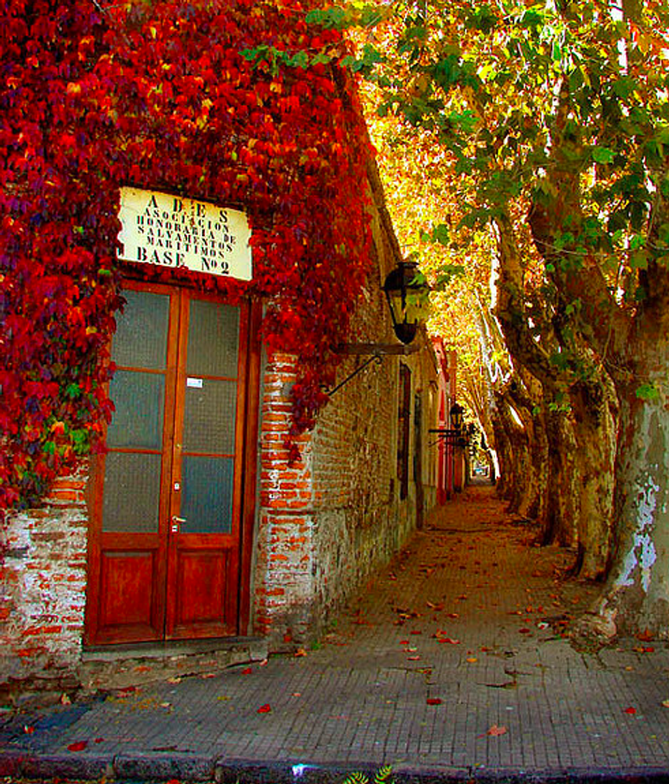 Place Colonia Del Sacramento