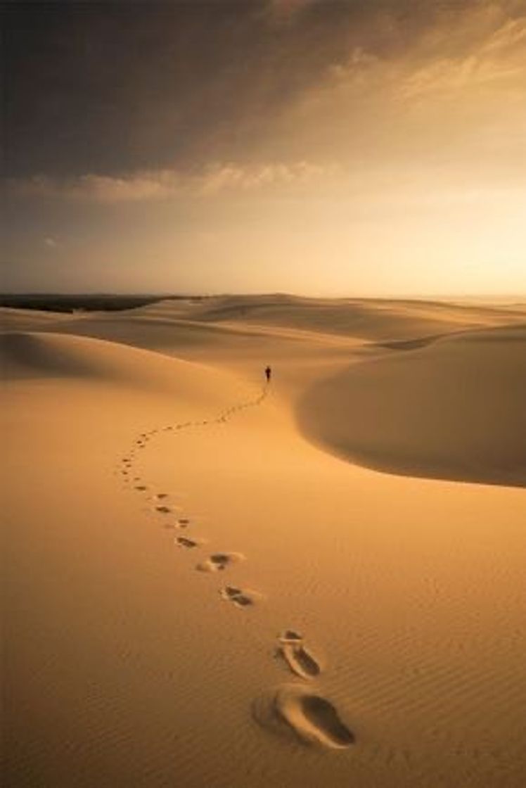 Lugar Sahara Desert