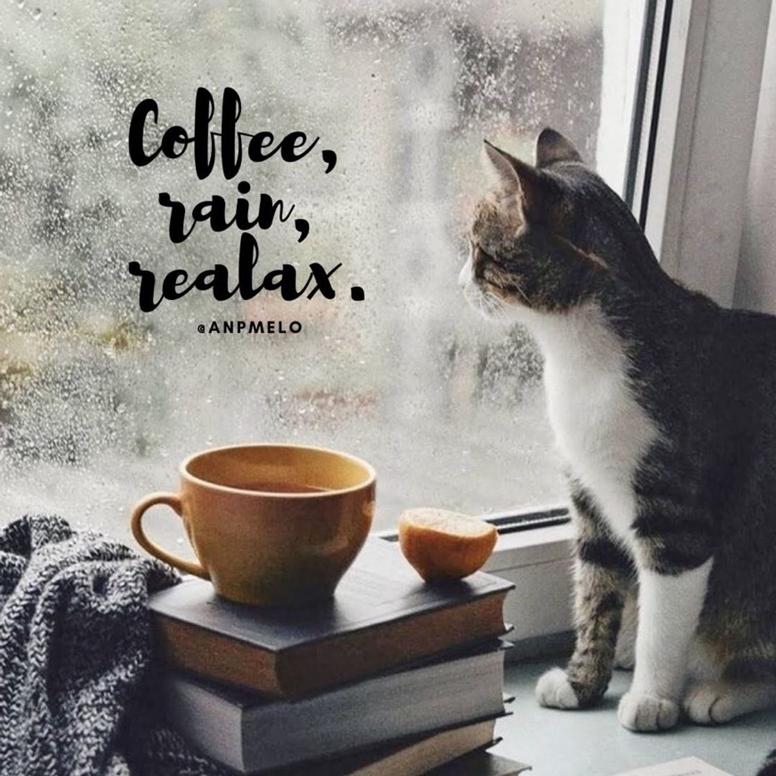 Music Minha Playlist: Coffee, Rain & Relax