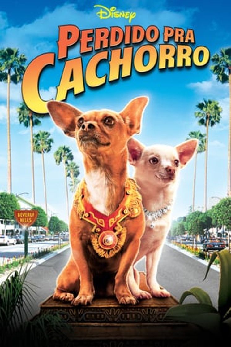 Película Un chihuahua en Beverly Hills