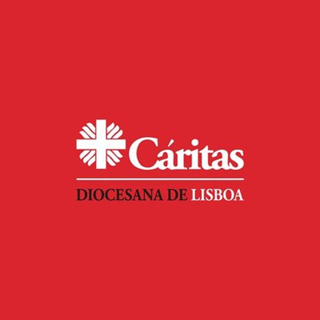 Moda Cáritas Diocesana de Lisboa