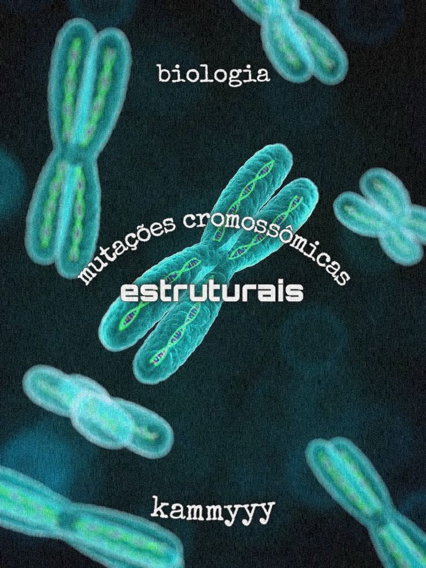 Social Mutações Cromossômicas -> Estruturais