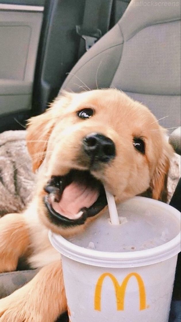 😍