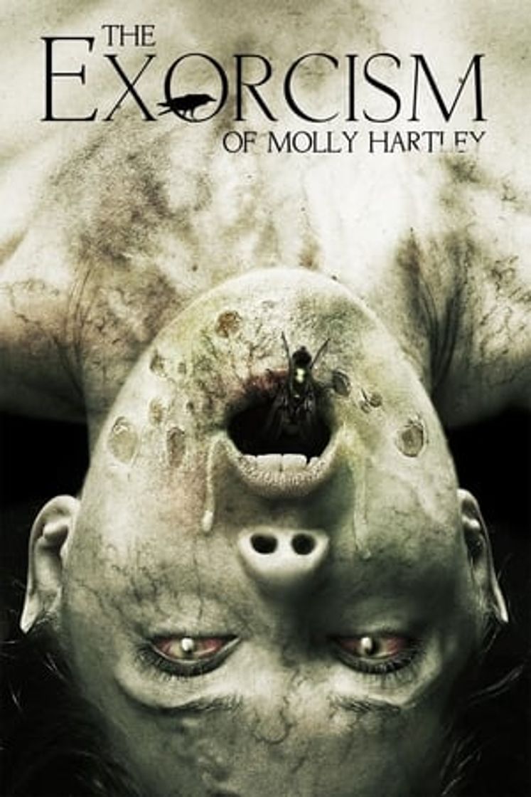 Película El exorcismo de Molly Hartley