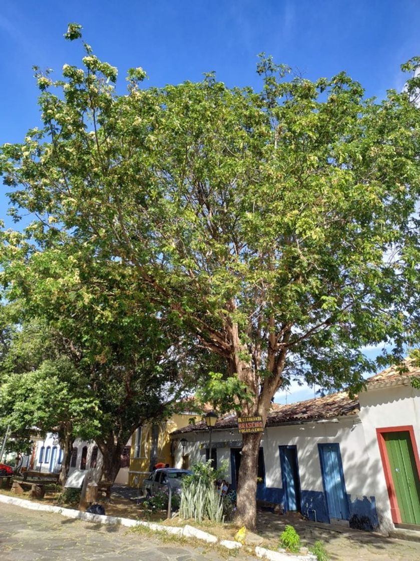 Place Goiás Velho