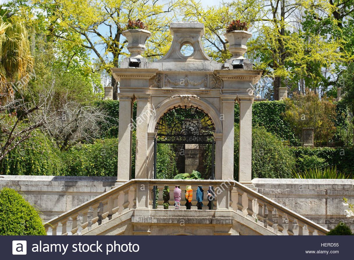 Lugar Jardim Botânico