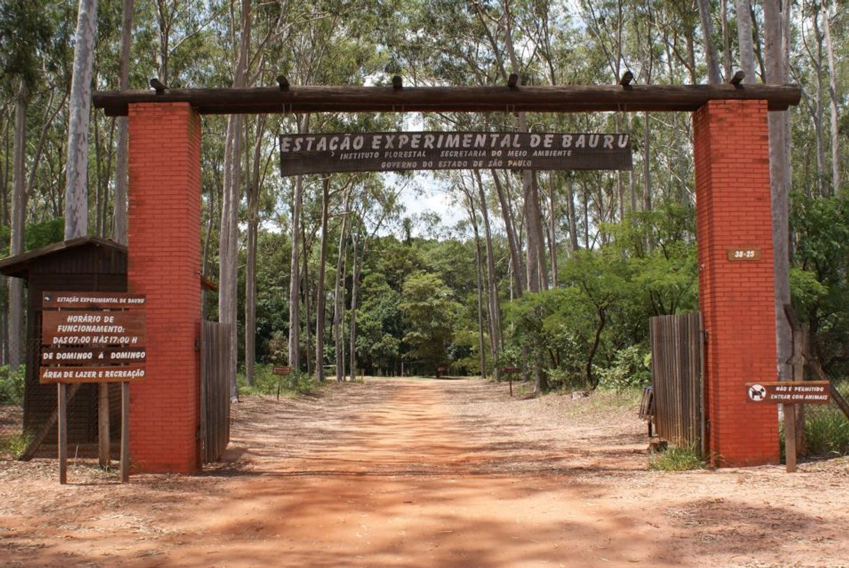 Places Horto Florestal Bauru