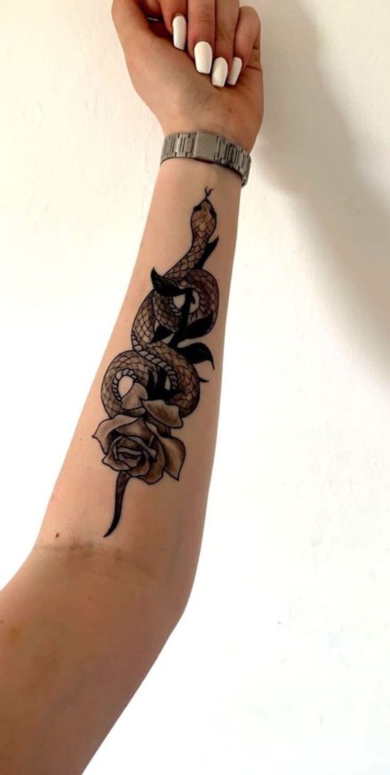 Fashion tattos de cobra 🐍 