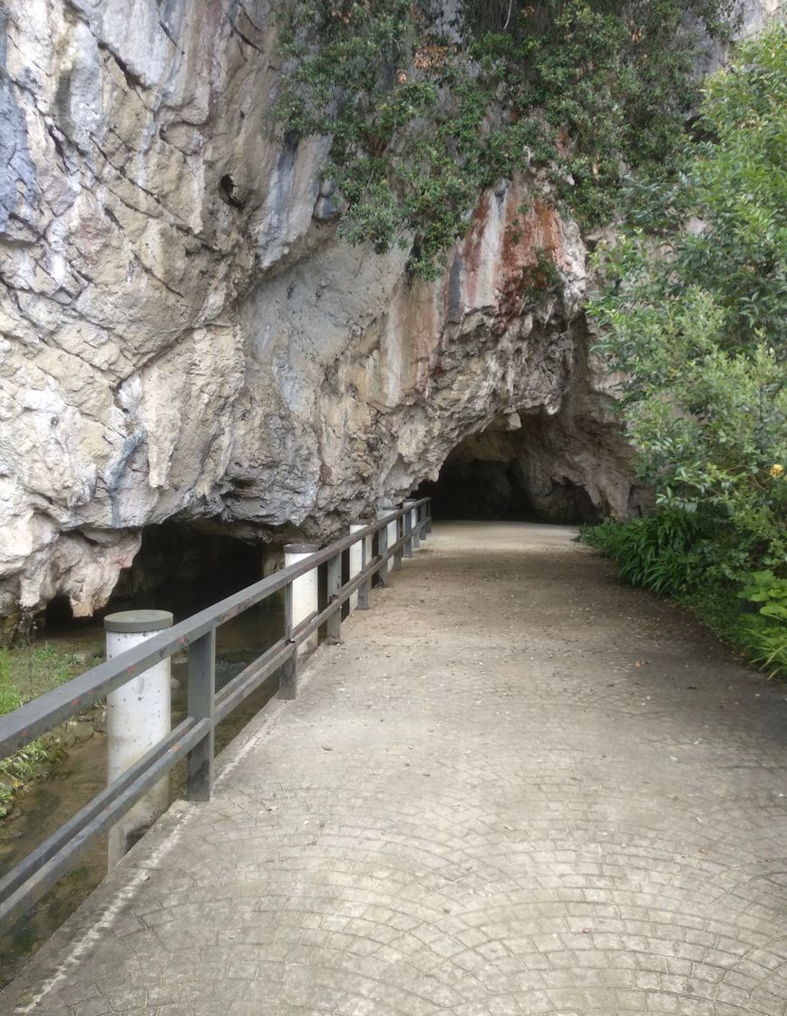 Place Cueva de Tito Bustillo