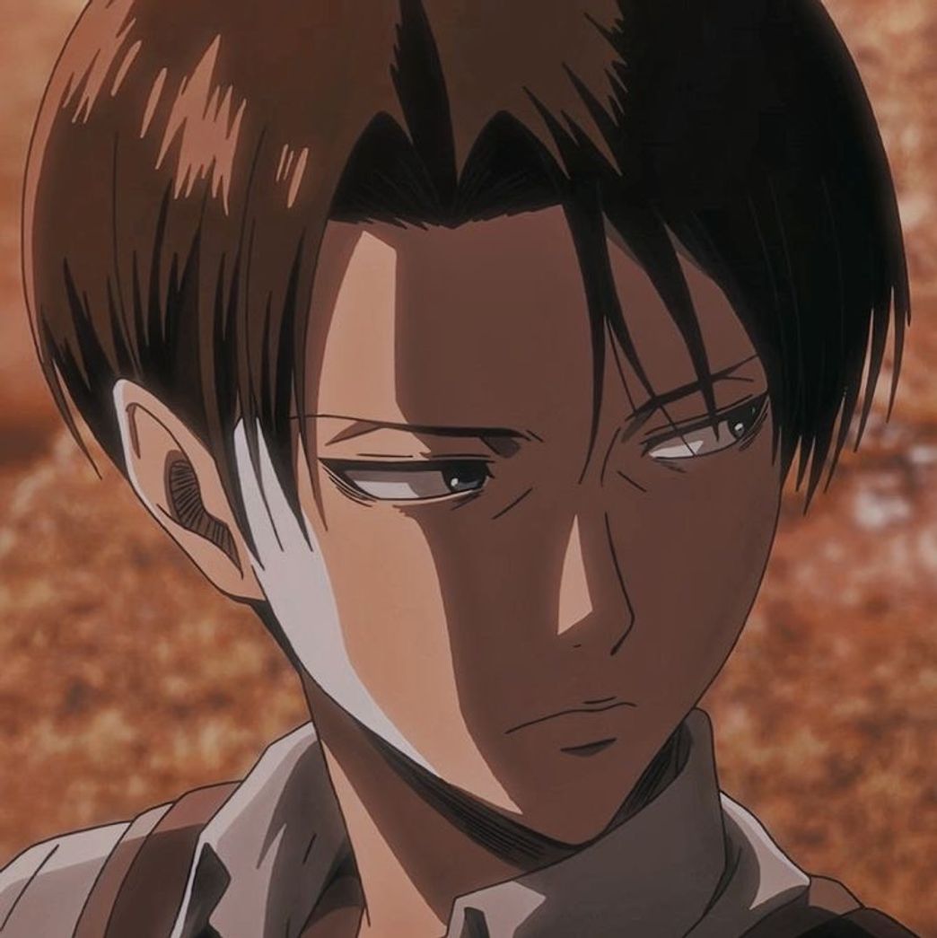 Fashion Icon Levi