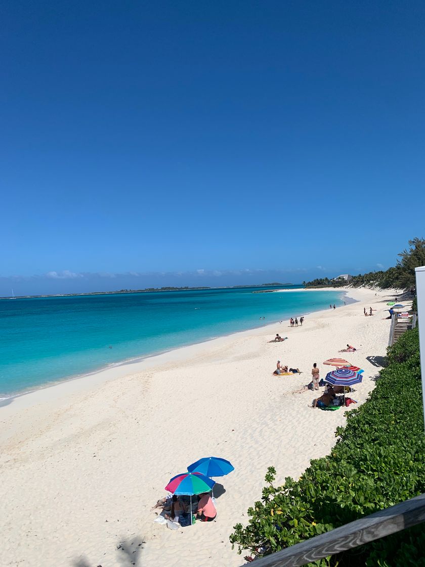 Place Cabbage Beach