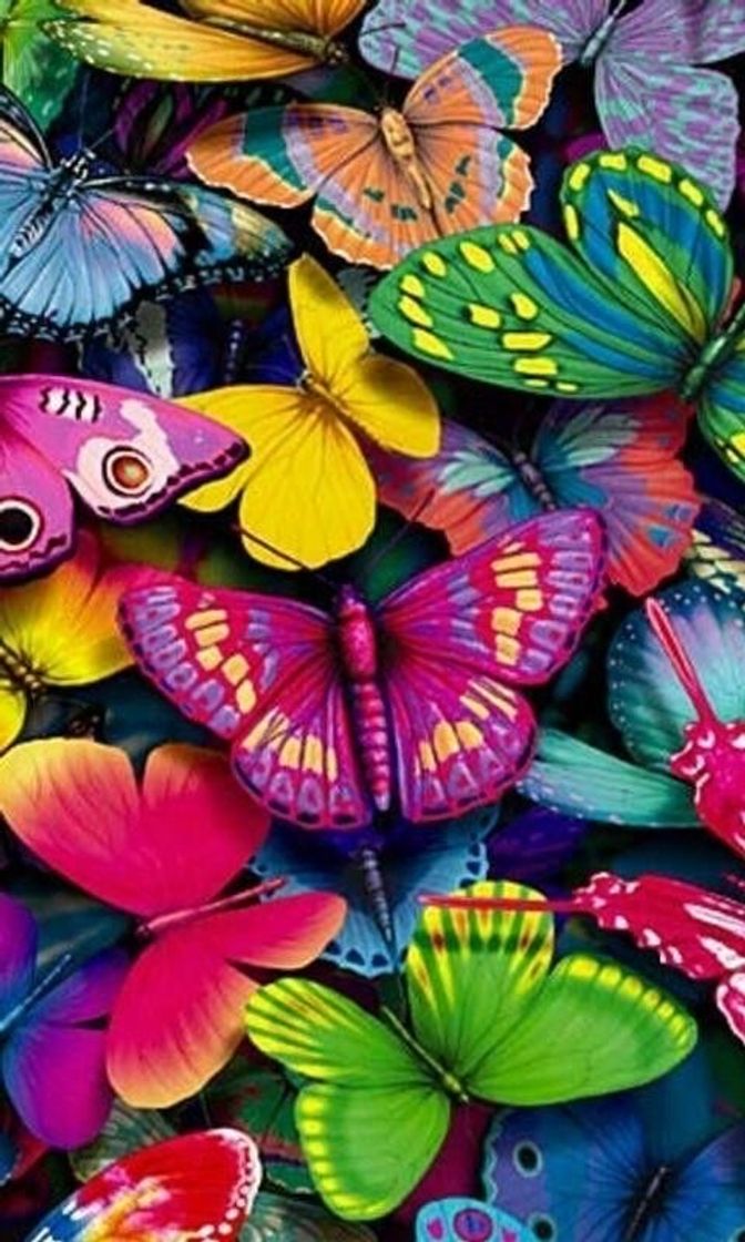 Social Todas as cores do mundo