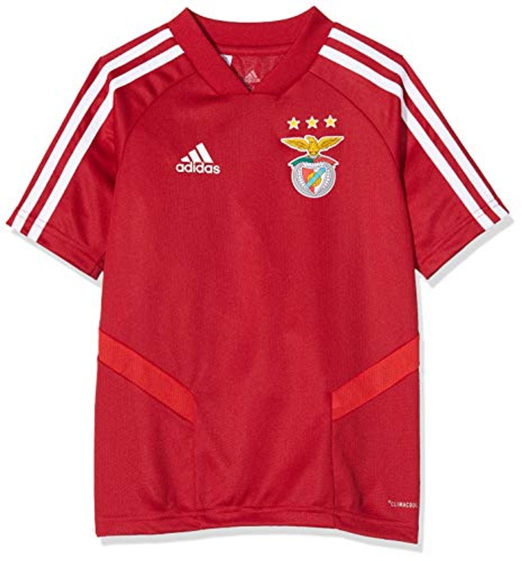 Fitness adidas - SL Benfica -  T-Shirt Power Red TRG JSY Y