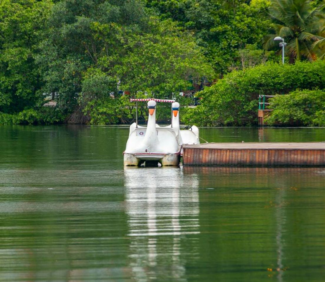 Moda Pedalinho  da Lagoa Rodrigo de Freitas