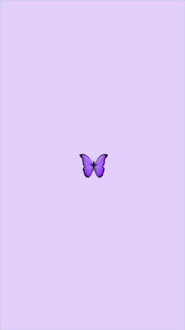 Fashion Wallpaper borboleta