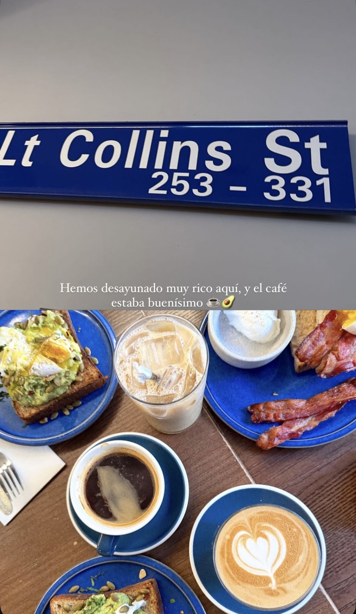 Social Little Collins 