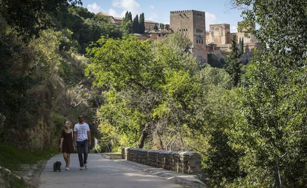 Lugar Camino Fuente del Avellano