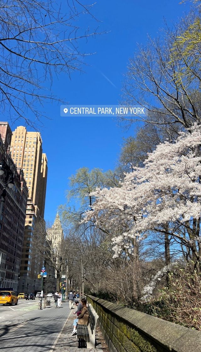 Lugar Central Park