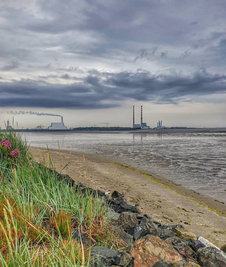 Place Sandymount Beach