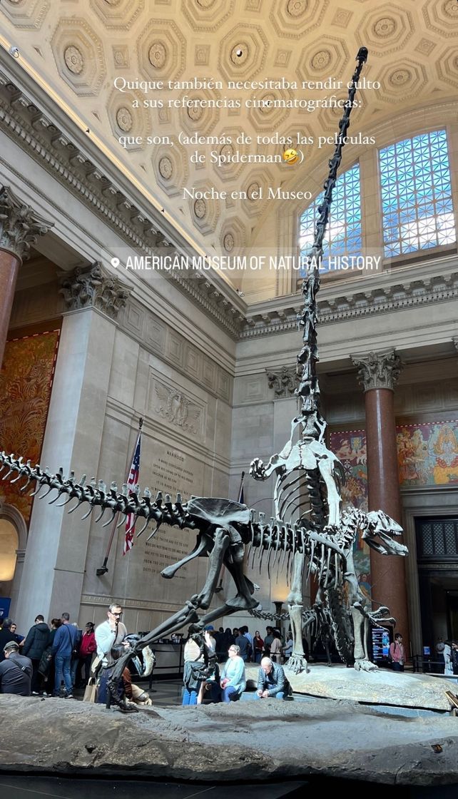 Lugar American Museum of Natural History