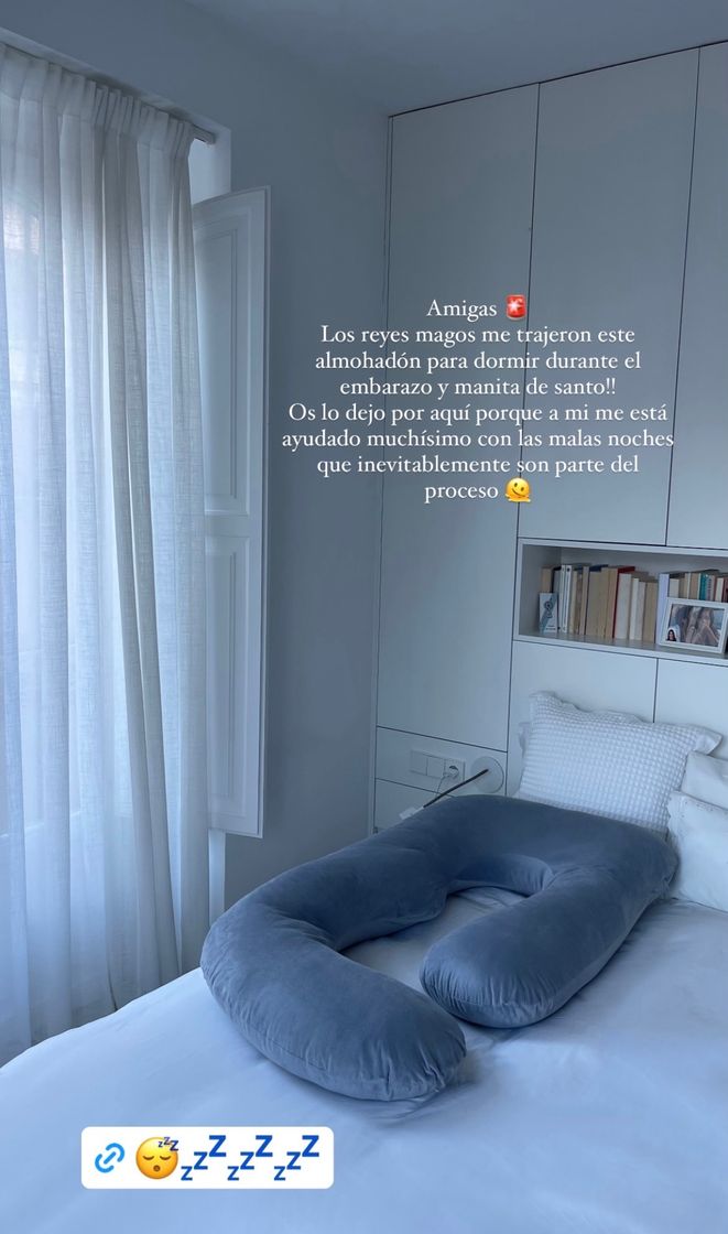 Elemento de la categoría hogar Almohada Embarazada 