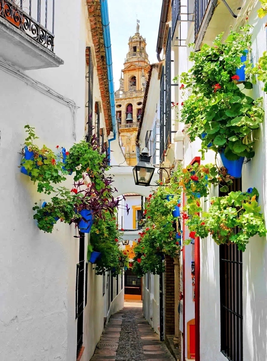 Lugar Calleja de las Flores 