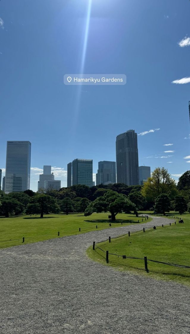 Lugar Jardines de Hamarikyu