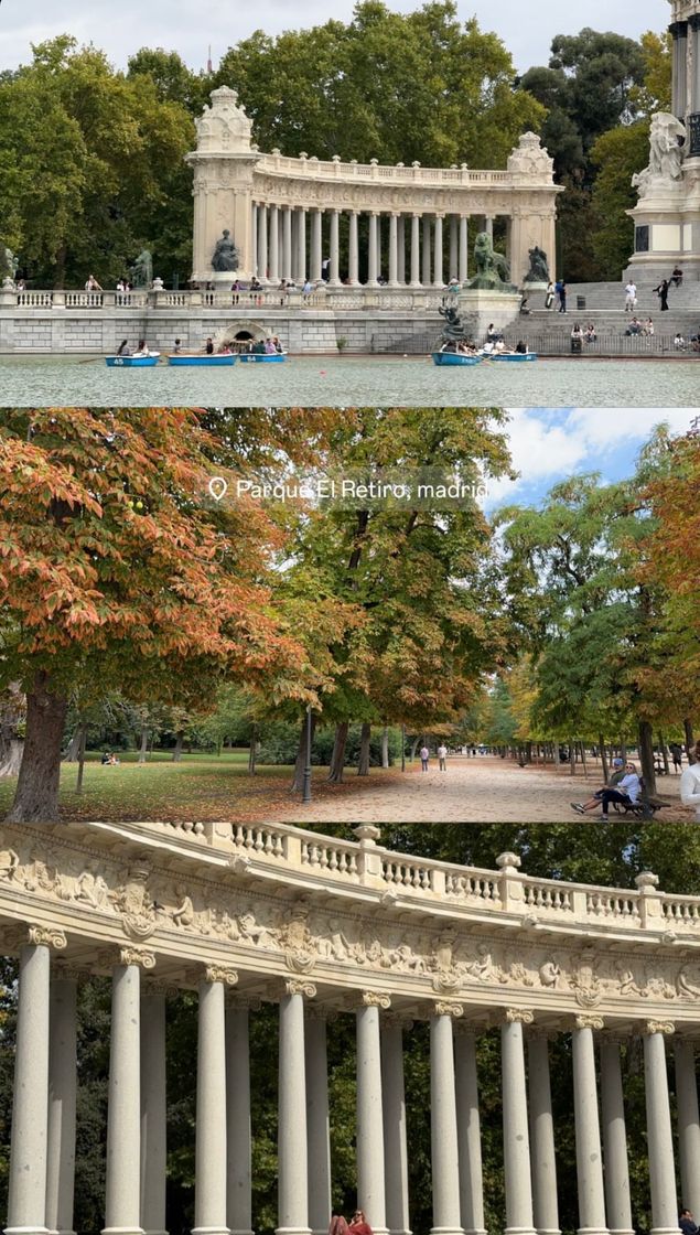 Place Parque de El Retiro