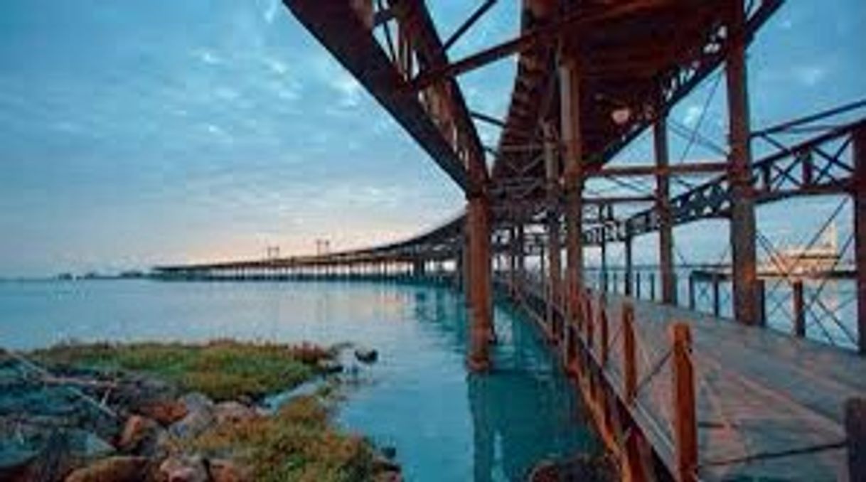Place Muelle del Tinto