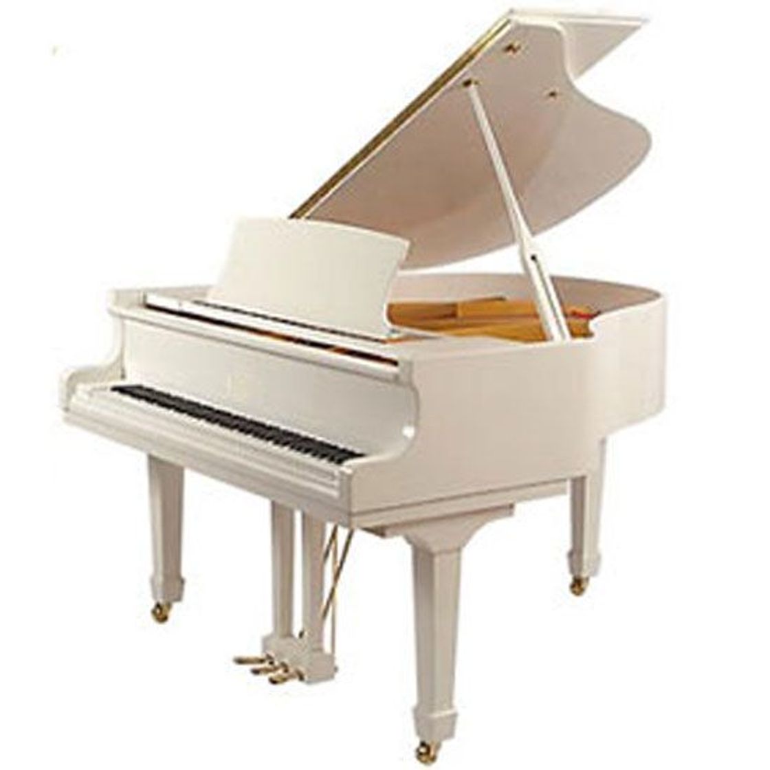 Social Piano de cauda ✨