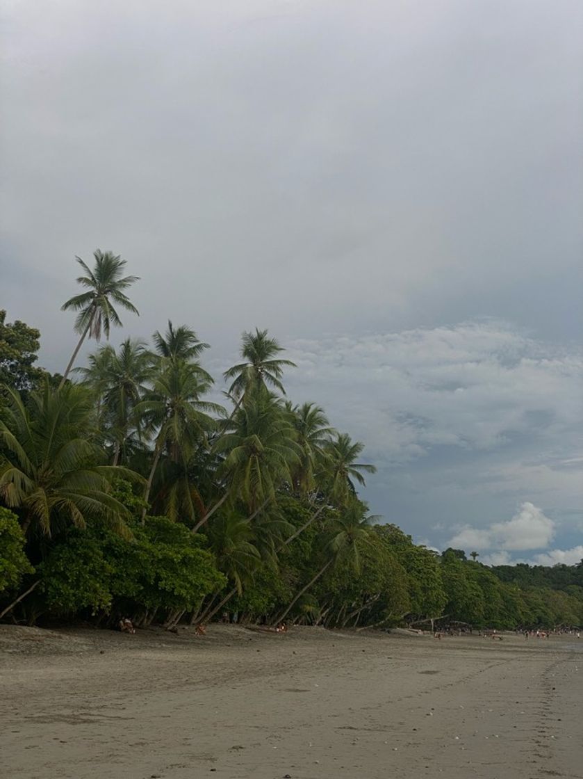 Lugar Manuel Antonio