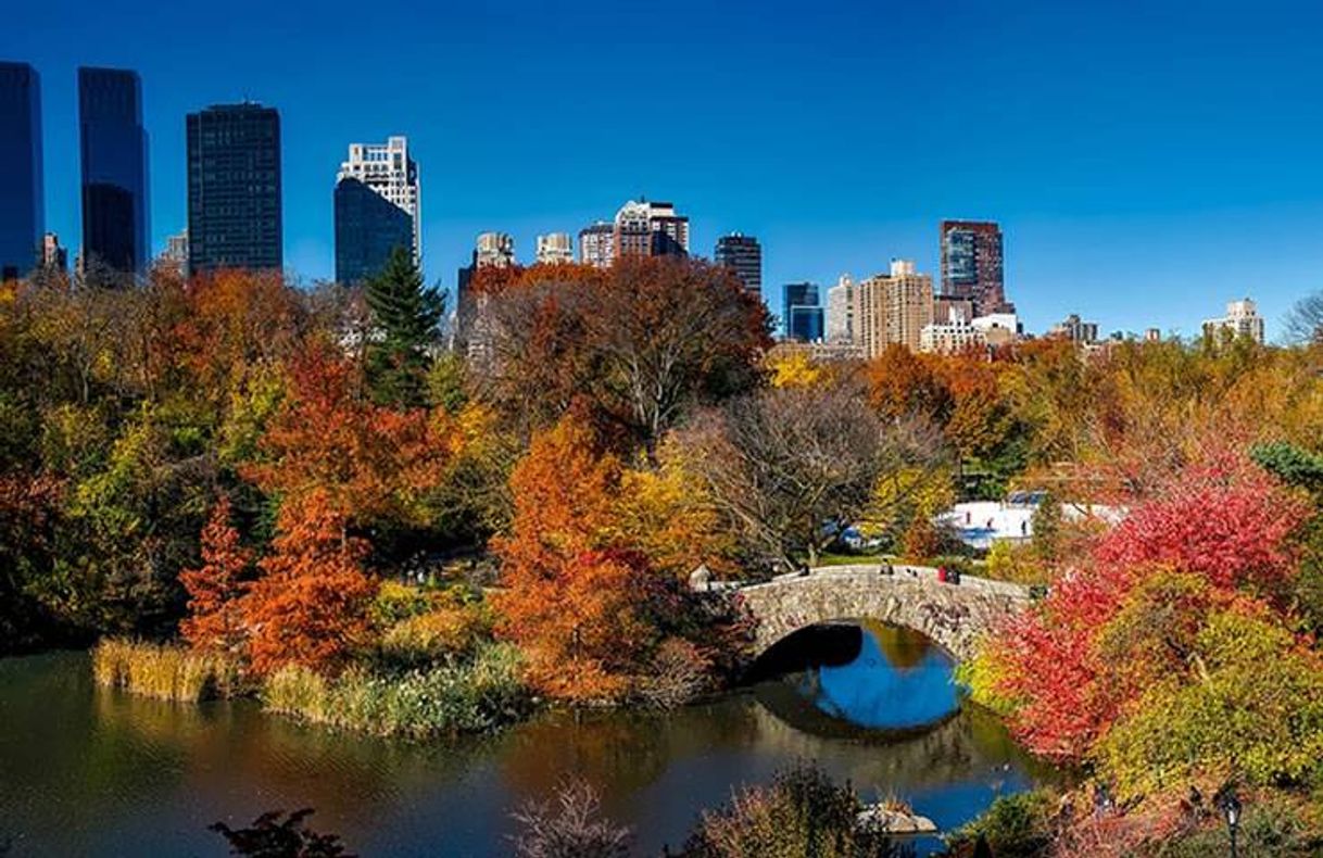 Fashion Central Park Conservancy