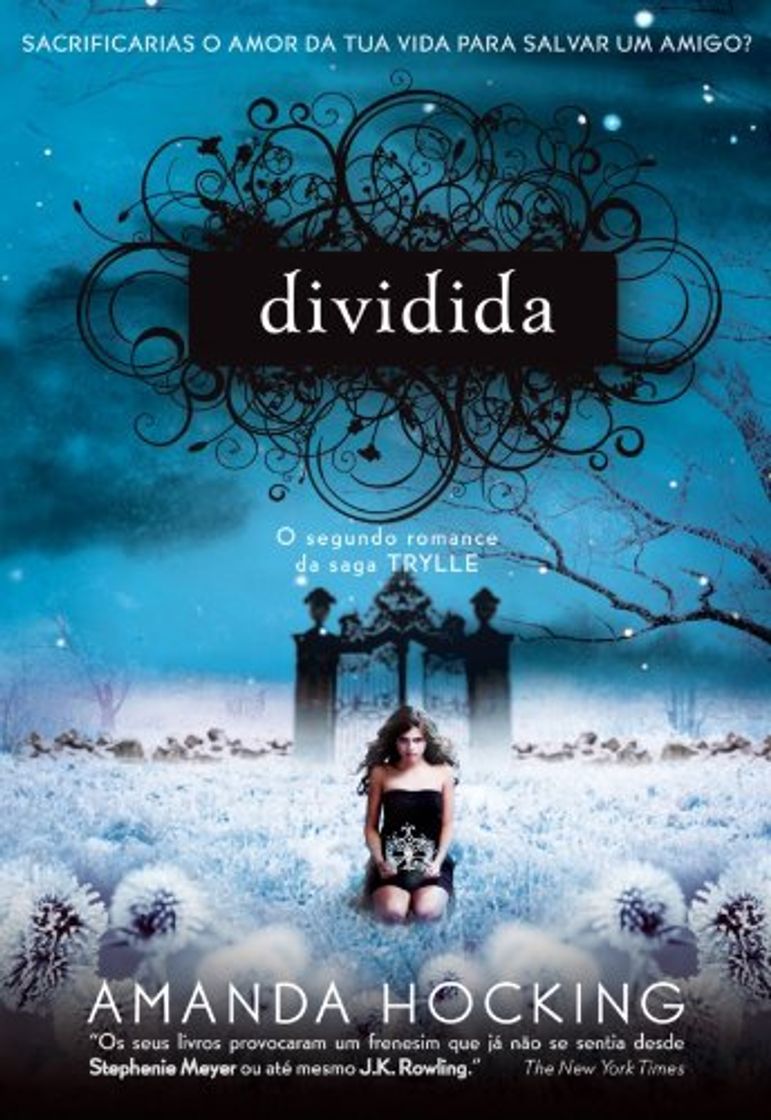 Book Dividida