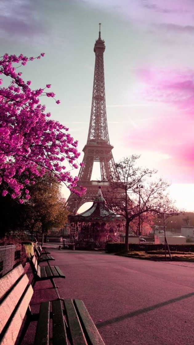 Fashion  Wallpaper Paris