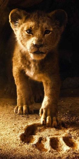 -> Rei leão <- Wallpaper