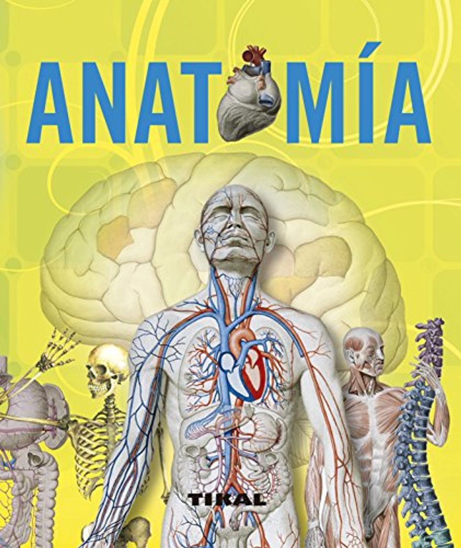 Books Anatomía