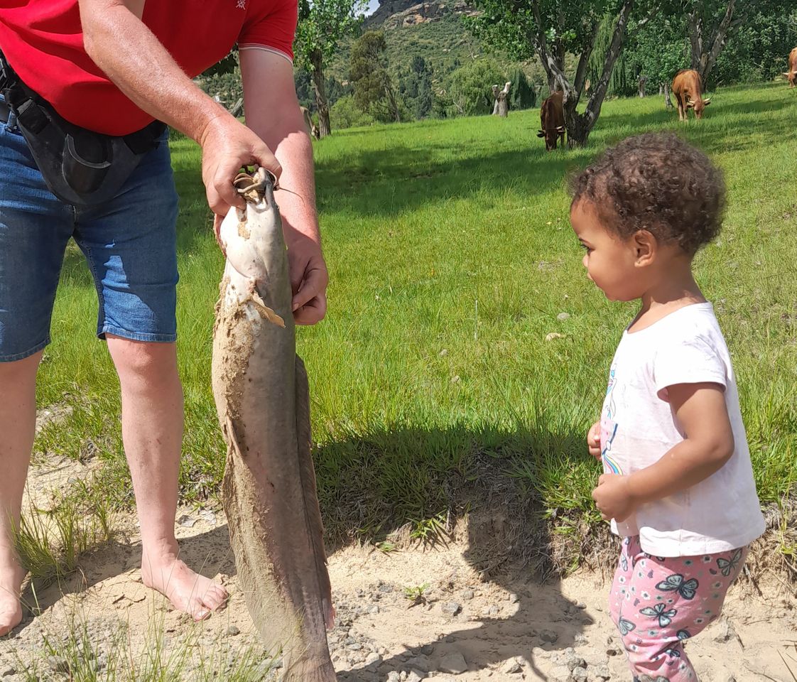 Fashion Dia de pesca