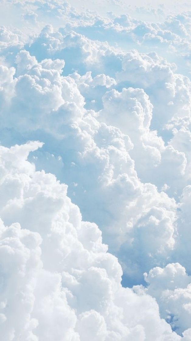 Social wallpaper 