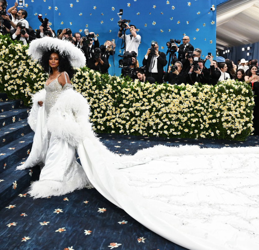 Social Diana Ross deslumbra con capa personalizada