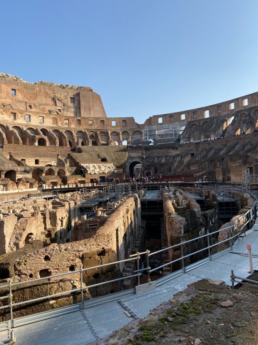 Lugar Coliseo de Roma