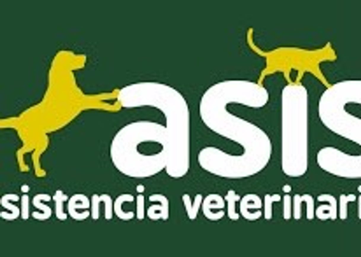 Fashion HOME | ASIS ANIMAL CLINIC