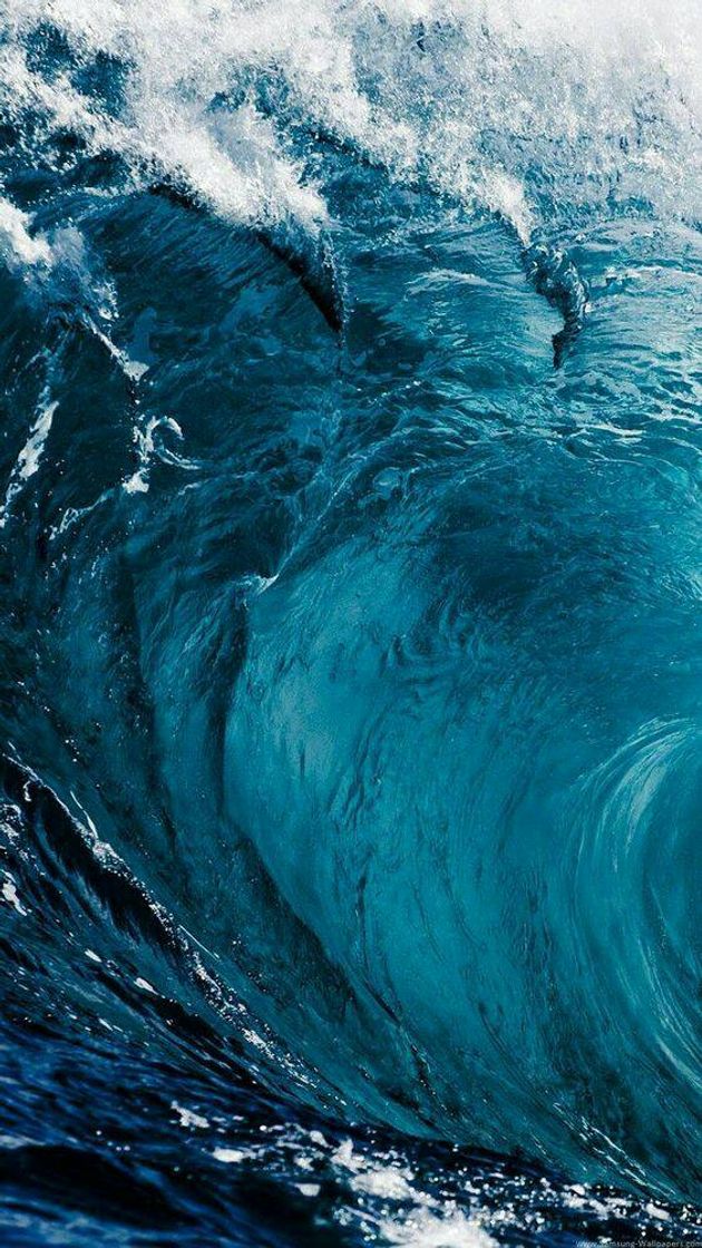 Ocean 🐬