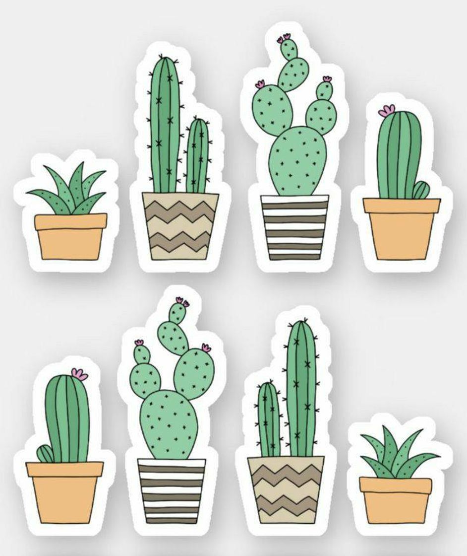 Moda Stickers cactos 🌵